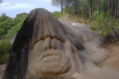 LAS CARAS